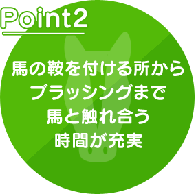 ポイント2 馬の鞍を付ける所からブラッシングまで馬と触れ合う時間が充実